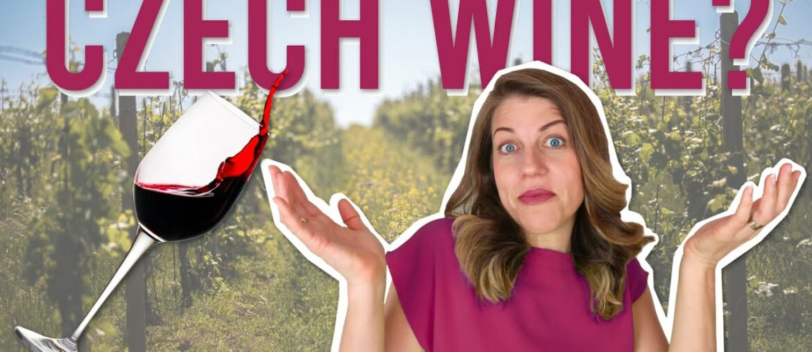 SURPRISING WINE PRODUCING COUNTRY (Czech wines will surprise you!) SURPRISING WINE PRODUCING COUNTRY (Czech wines will surprise you!)