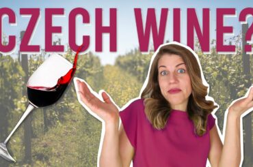 SURPRISING WINE PRODUCING COUNTRY (Czech wines will surprise you!)