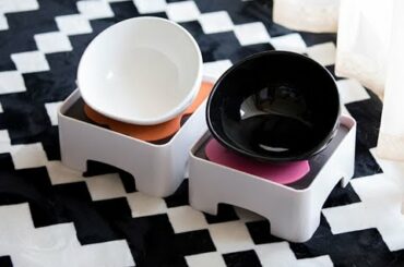 Ceramics Food Bowl with Adjustable Stand