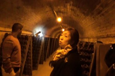 Trip to Moet & Chandon # Champagne Region #France