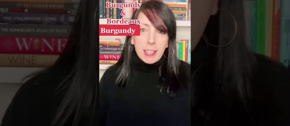 Intro to French Red Wines by a Wine Expert