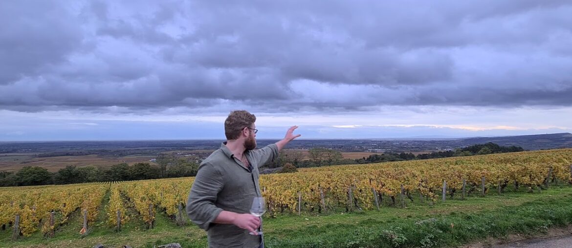 Puligny Montrachet 1er Cru 'La Garenne' and 'Les Champs Gains'