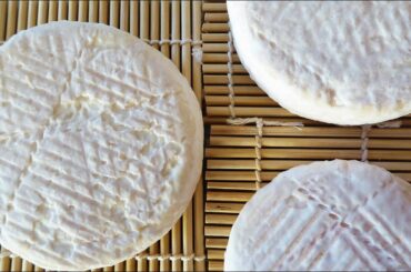 How to Make French Brie Cheese