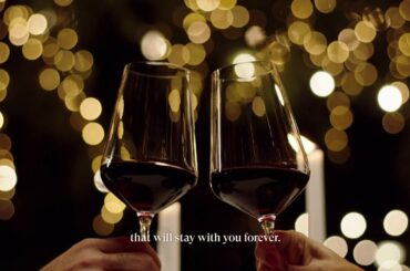 RMDGroup Corporate Presentation Video