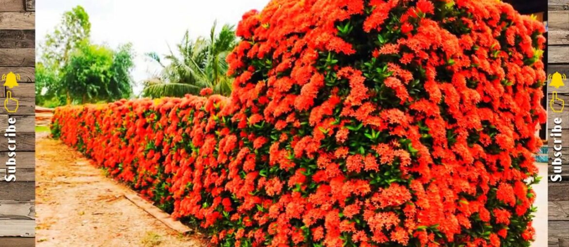 Front Garden Fence Ideas Suitable For All Small Houses Garden Design Front Garden Fence Ideas Suitable For All Small Houses Garden Design