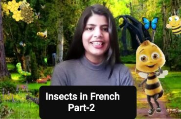 Learn French language:- Insects & arthropods: les insectes et les arthropodes PART-2
