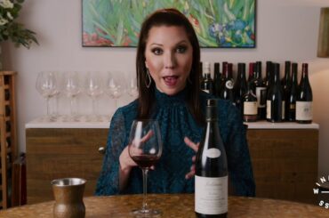 Discover France | 2019 Domaine du Clos du Fief Tradition Cru Julienas Beaujolais France