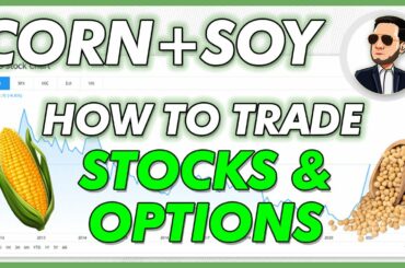 Investing in Soybeans & Corn ETF as Prices Rise
