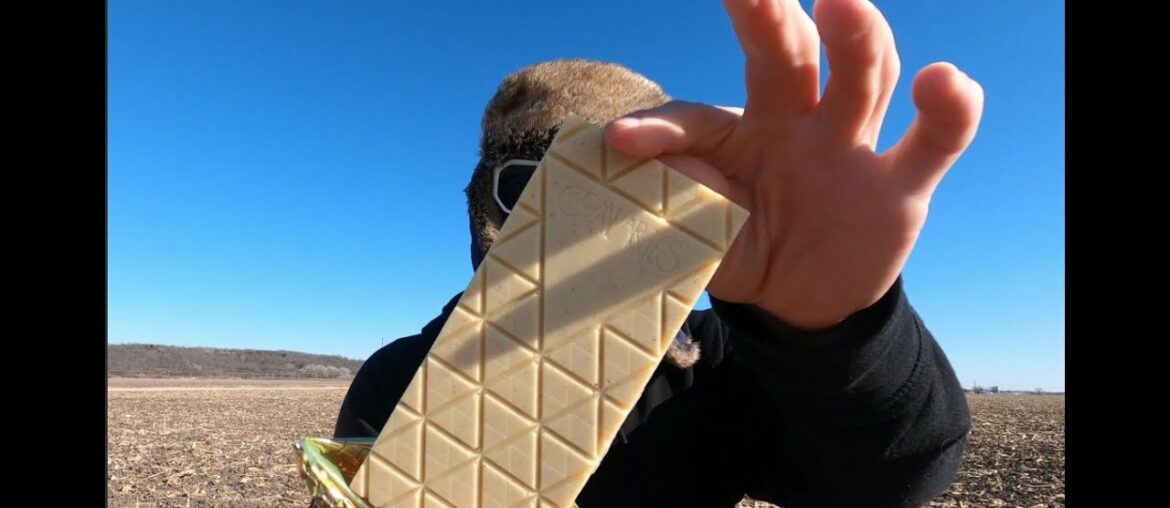 Compartes Chocolate - Cinnamon Toast White Chocolate Bar Review