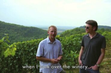 In the Vineyard: Winemaker Thierry Tissot Bugey - Alpine France - Wine Travel & Education