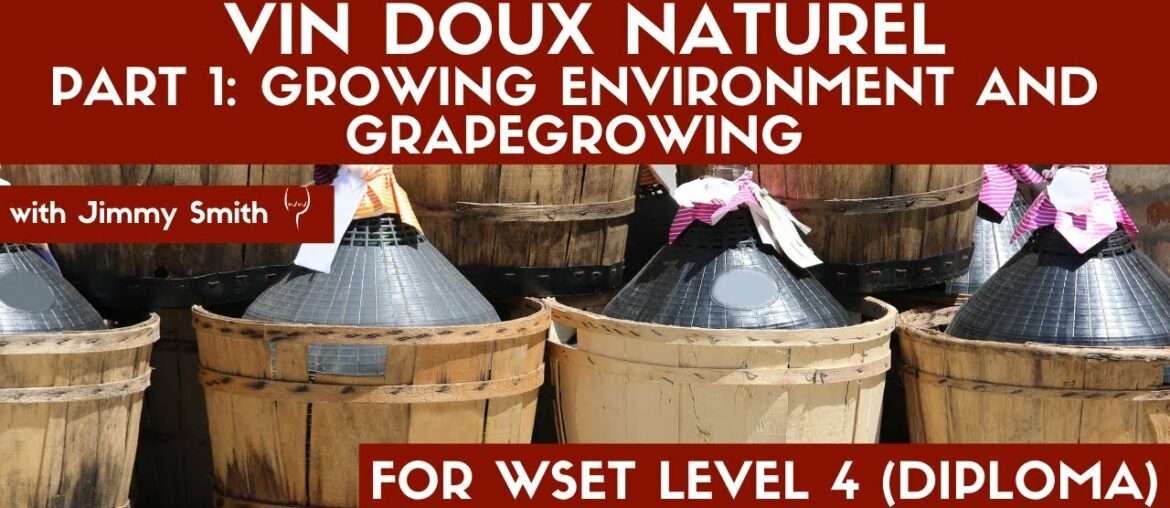 WSET 4 Understanding Vin Doux Naturel Part 1 – Growing Environment and Grape Growing WSET 4 Understanding Vin Doux Naturel Part 1 - Growing Environment and Grape Growing