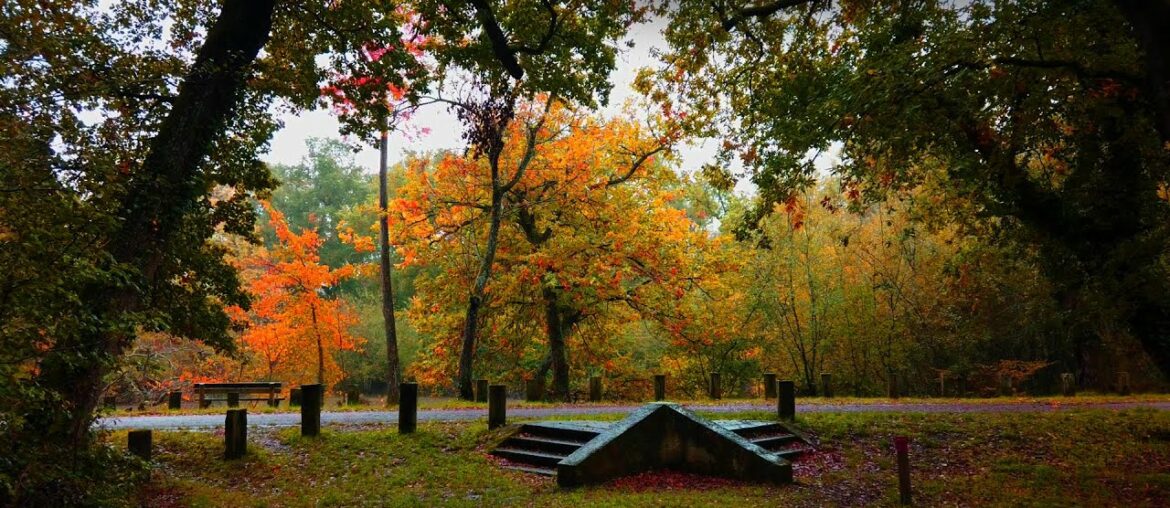 Walking in the Rainy Day [3Hours Compilation] 2020 in Bordeaux France 4K / Sounds for sleeping