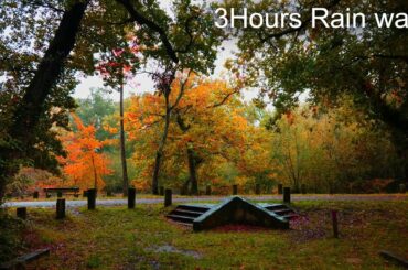 Walking in the Rainy Day [3Hours Compilation] 2020 in Bordeaux France 4K / Sounds for sleeping