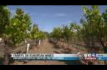 Tariffs on European Wines