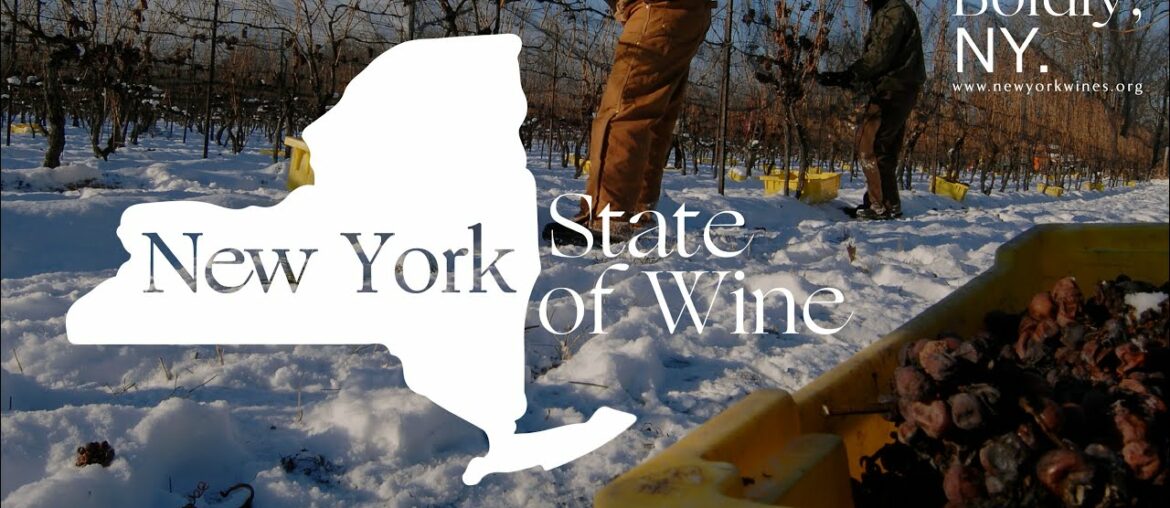 Episode 5 - New York State of Wine: Boldy, extreme. with Olivier Borneuf (French language only)