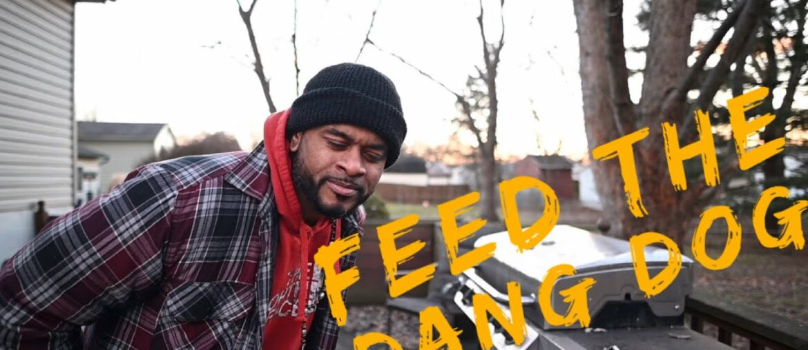 Learn how to feed your french bulldog for weight gain Learn how to feed your french bulldog for weight gain