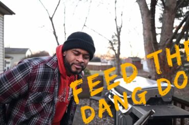 Learn how to feed your french bulldog for weight gain