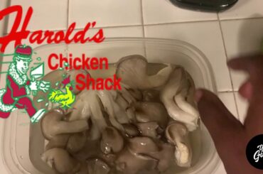 The GusTo Gourmet Greatness