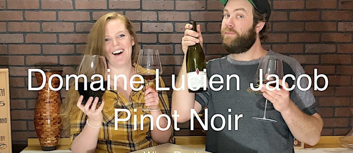 Burgundy Wine That Tastes Like Rocks?? // Wine Review