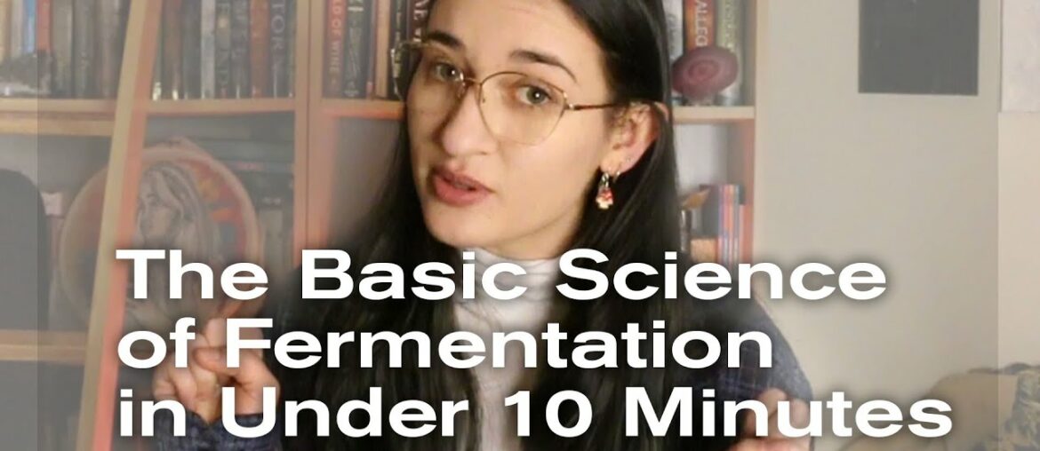 The Basic Science of Fermentation in Under Ten Minutes