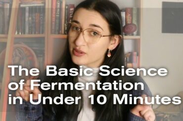 The Basic Science of Fermentation in Under Ten Minutes