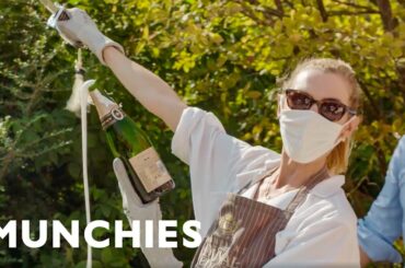 France’s Grapes are Dying on the Vine