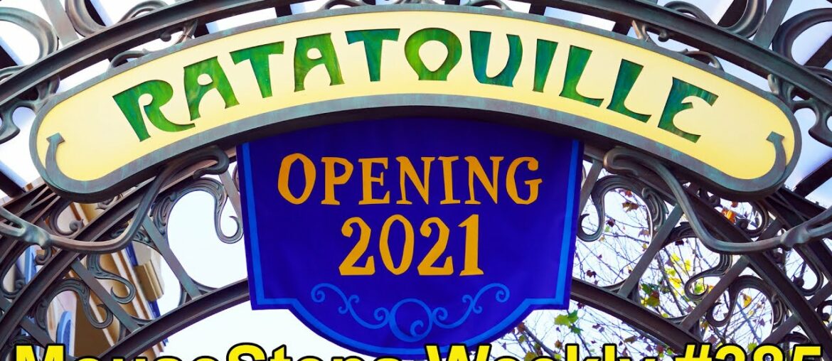 MouseSteps Weekly #385: Disney Springs Everglazed Donuts; Animal Kingdom; Epcot France Expansion