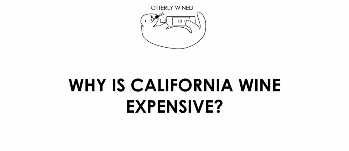 WHY IS CALIFORNIA WINE SO EXPENSIVE?