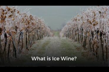 What is Ice Wine?