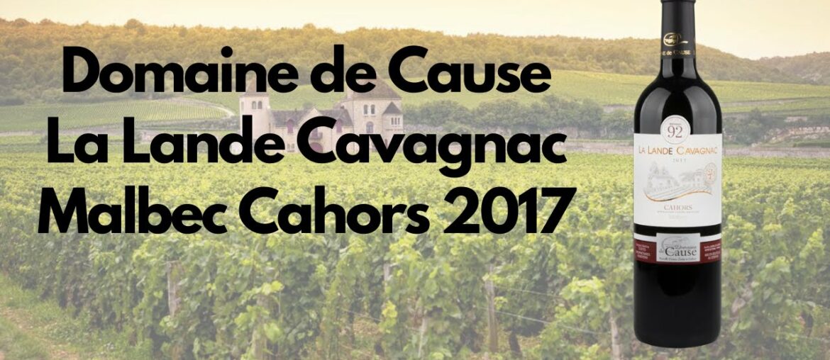 Domaine de Cause La Lande Cavagnac Malbec Cahors 2017