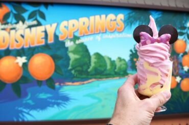 Disney Springs Lunch Date, France At EPCOT, Wanda Vision Cake & Minnie Dole Whip Secret Menu Item!