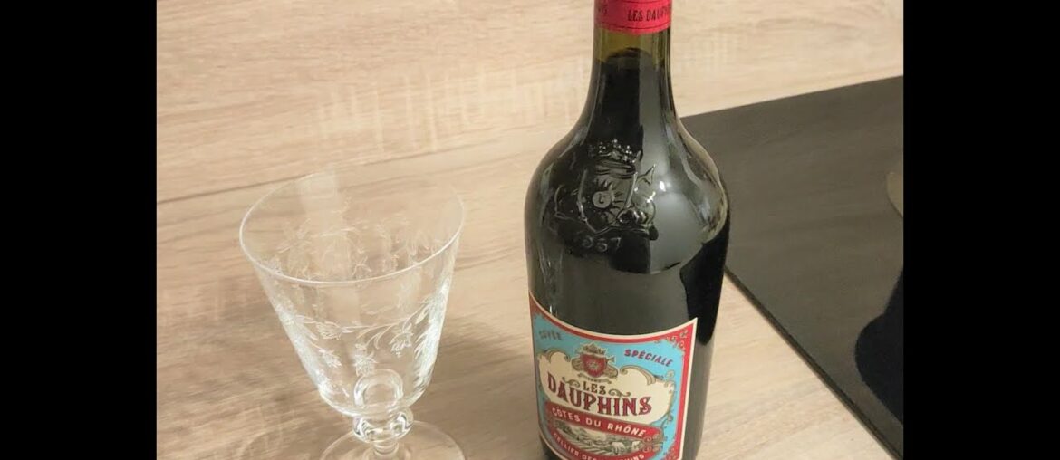 French Wine 'Les Dauphins Cotes Du Rhone' - Not an Expert Review - Hindi/English - Part 1/3