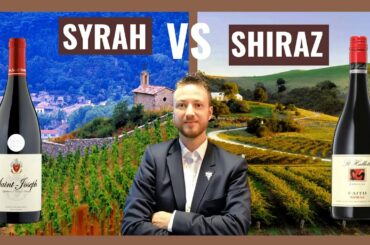 Syrah Vs Shiraz ... French Syrah VS Australian Shiraz!