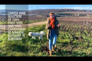 Limited Wine Selection at Domaine Bertagna in Burgundy