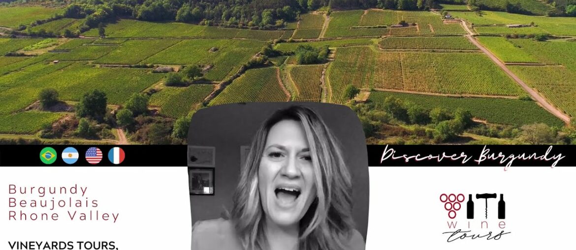 Viti wine tours in English