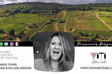 Viti wine tours in English