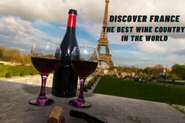 Discover France: The best wine country in the world | HELLO VIETNAM