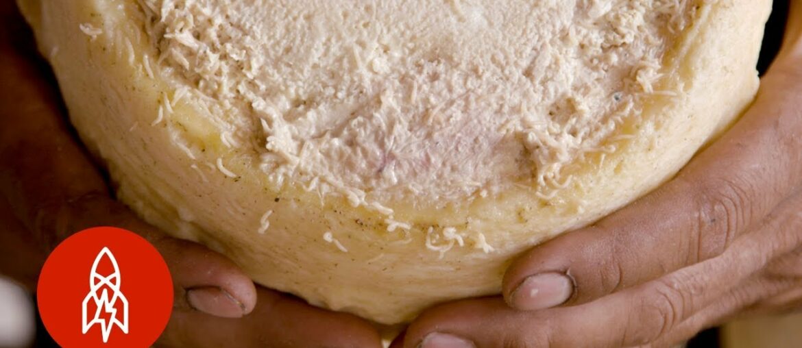 This Rare Cheese Is Infested With Live Maggots This Rare Cheese Is Infested With Live Maggots