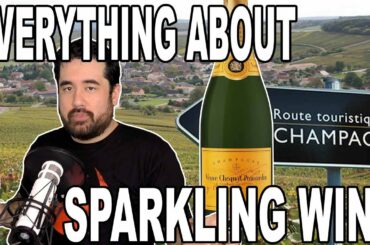 Everything You Want to Know About Sparkling Wine | Re:Wine w/bschwitty