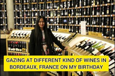 Wine Gazing in Bordeaux, France on My Birthday | Rodrina Weller