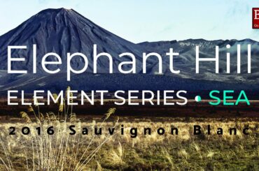 BOW ep212 - Elephant Hill Element Series Sea Sauvignon Blanc 2016