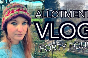 Putting up Bean Arches and February Seed Sowing ||Plot 37