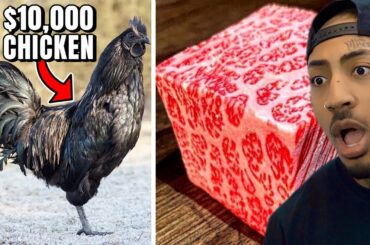 Exspensive Foods Only The Rich Can Afford !