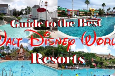 Which DISNEY WORLD Resort HOTELS Best Fit Your Vacation Budget and Needs & GUIDE for BEST TIME TO GO
