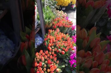 Looking for beautiful flowers? flower shop in paris / france vlog / nuoc phap co gi hay #shorts