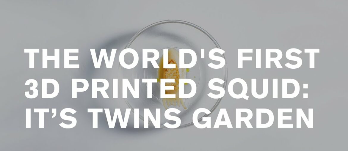 Twins Garden: 16-course set-menu, 16 vegetable wines [english subtitles]