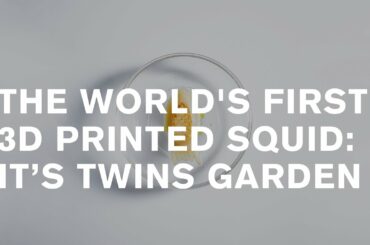 Twins Garden: 16-course set-menu, 16 vegetable wines [english subtitles]