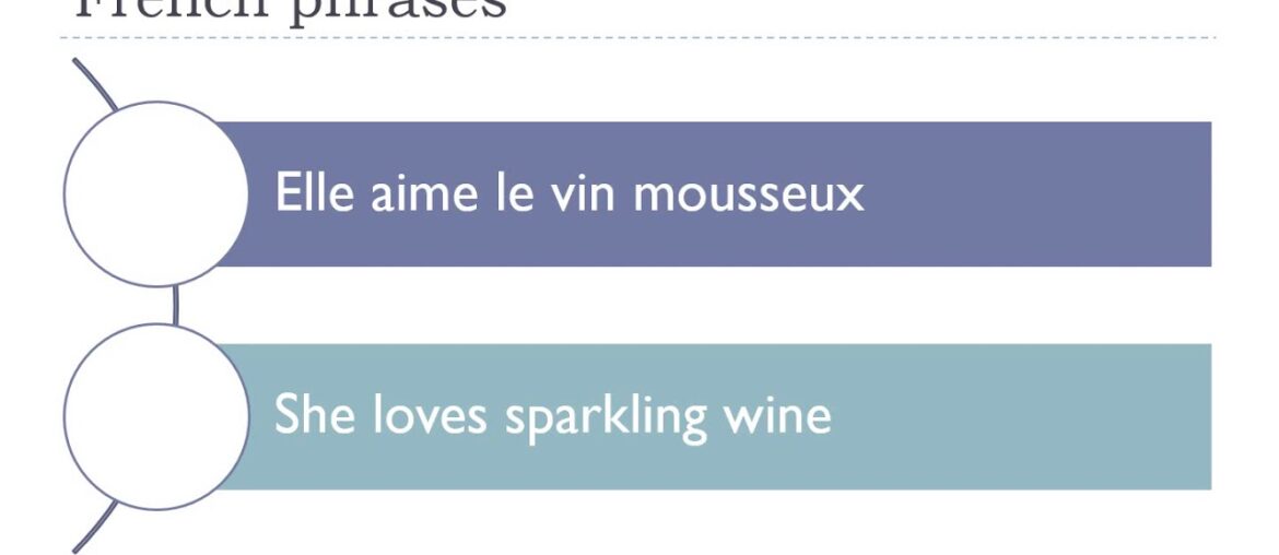 Say it in French I She loves sparkling wine avi Say it in French I She loves sparkling wine avi