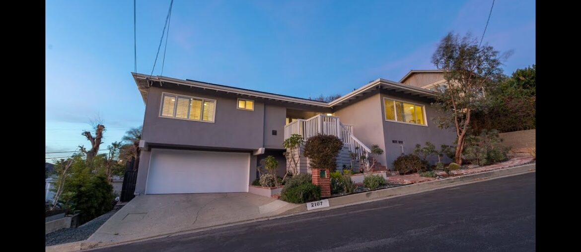 Mid Century Oasis Mid Century Oasis