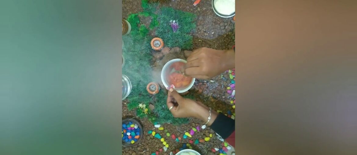 Today recipe french fries and tomato sauce